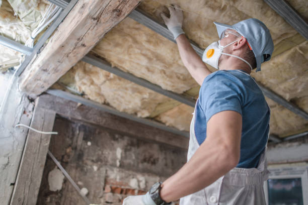 Best Crawl Space Insulation  in Oak Point, TX