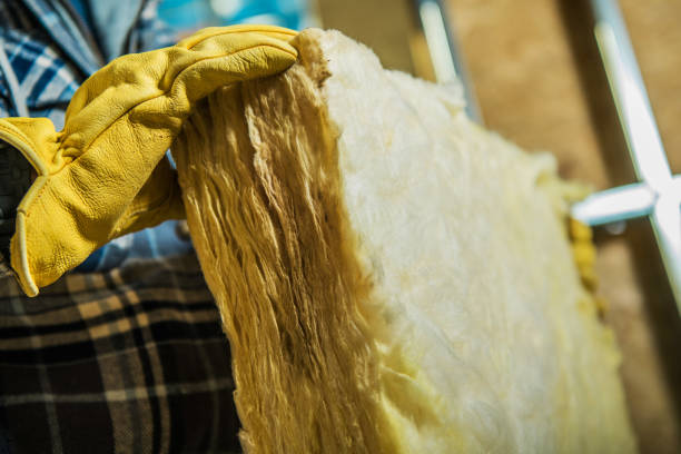 Best Attic Insulation Installation  in Oak Point, TX
