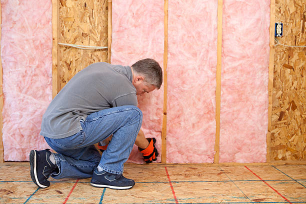 Best Insulation Removal  in Oak Point, TX