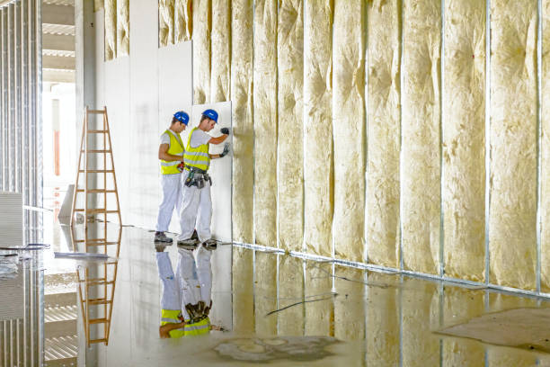 Best Affordable Insulation Services  in Oak Point, TX